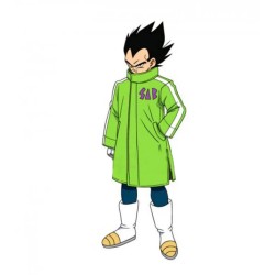 Dragon Ball Super Broly Vegeta Sab Green Leather Coat 